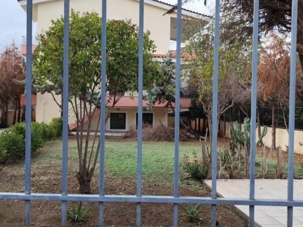 Detached - Grekodom 65607|1051510