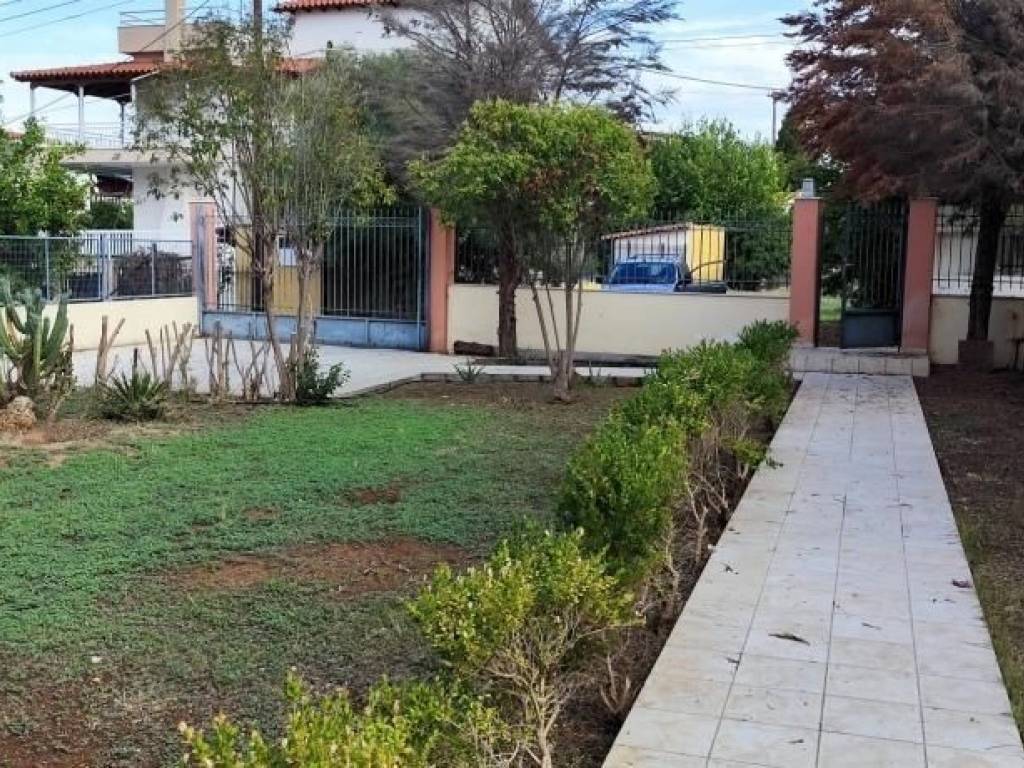 Detached - Grekodom 65607|1051511