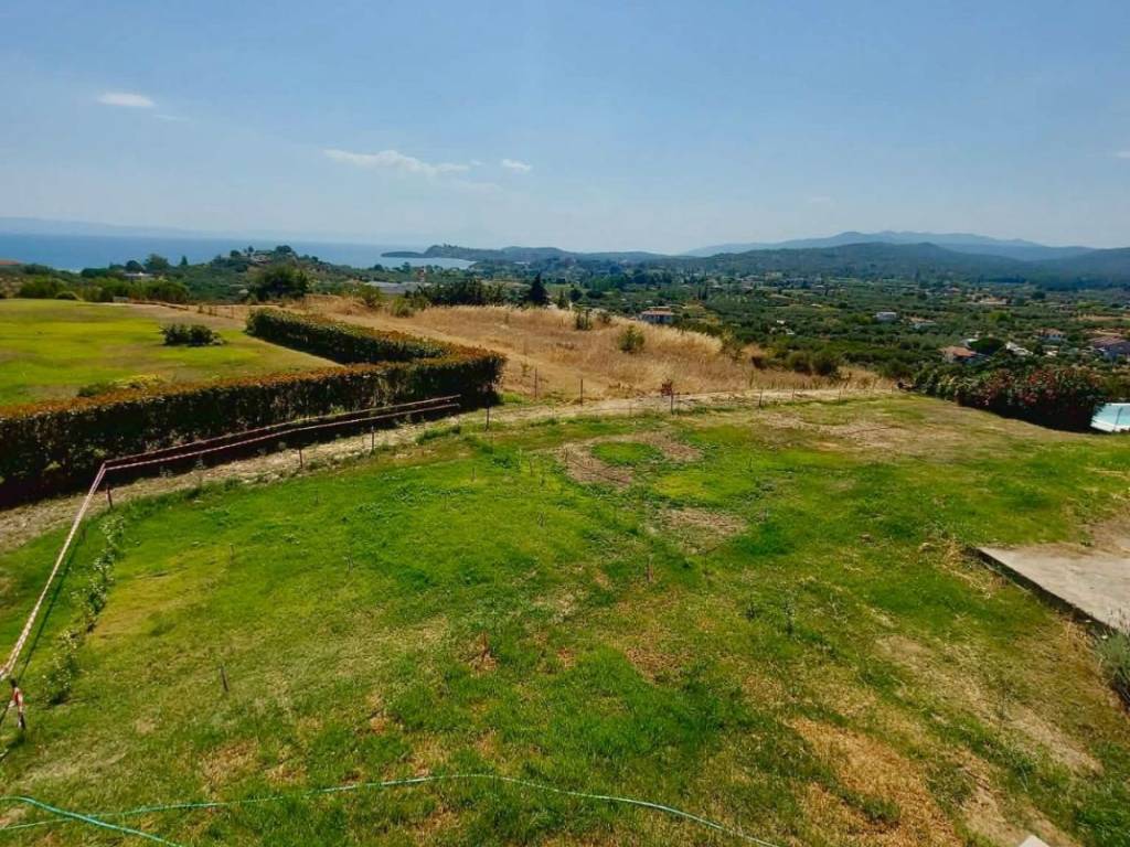 Ο κήπος 200 τ.μ. με υπέροχη θέα και διαμόρφωση