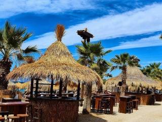 Bolivar beach bar