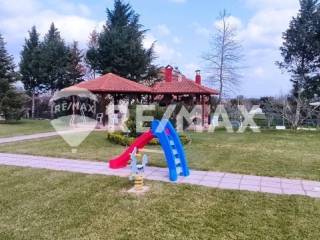 Ύπαρξη ανθρώπου