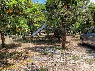 Άποψη οικοπέδου