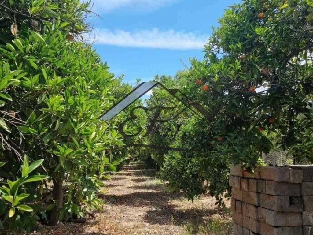 Άποψη οικοπέδου