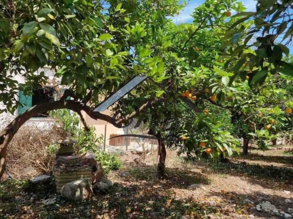 Άποψη οικοπέδου