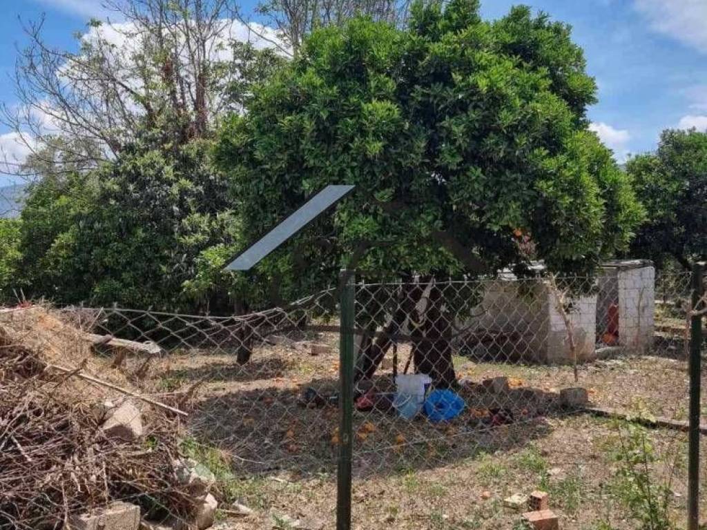 Άποψη οικοπέδου