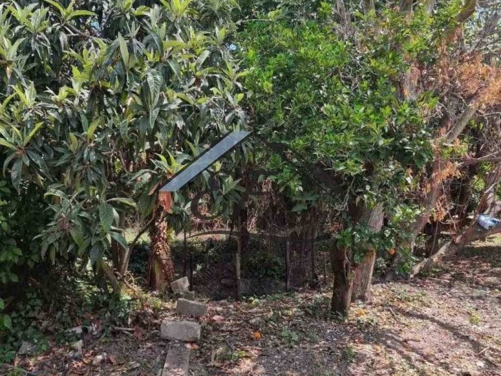 Άποψη οικοπέδου