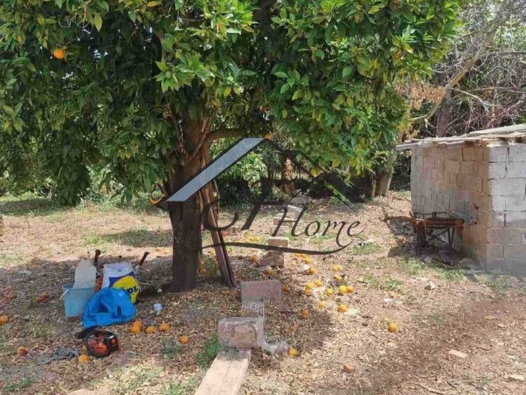 Άποψη οικοπέδου