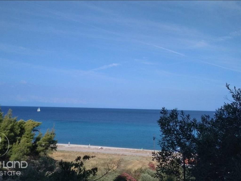 Forumland Real Estate