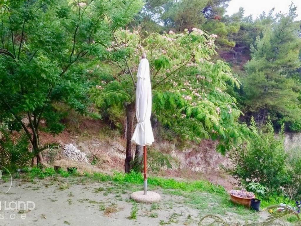 Forumland Real Estate, Κήπος