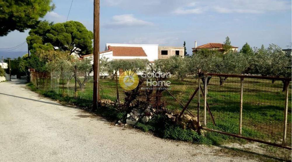 Κυρίως Χώρος