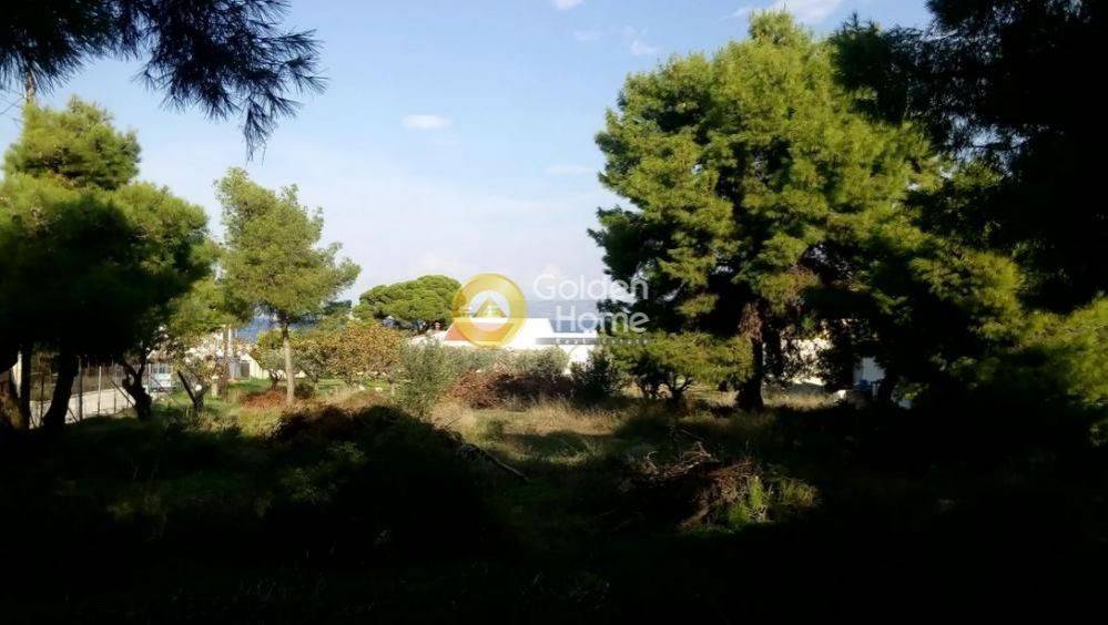 Κυρίως Χώρος