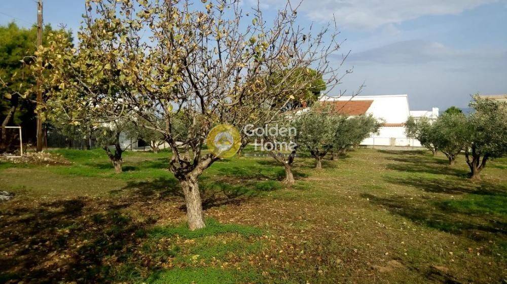 Κυρίως Χώρος