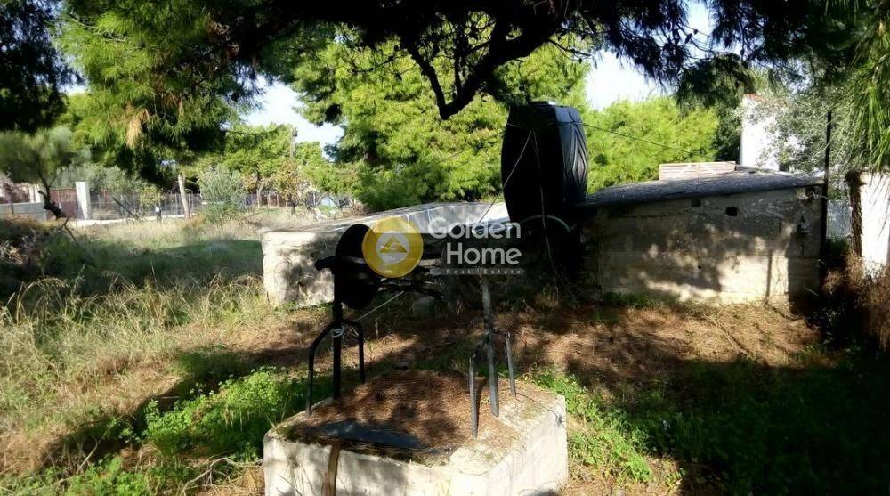 Κυρίως Χώρος