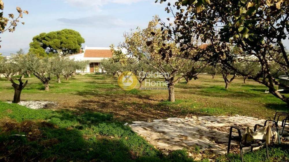 Κυρίως Χώρος