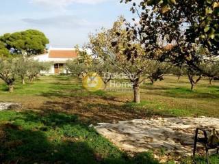 Κυρίως Χώρος