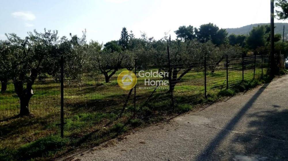 Κυρίως Χώρος