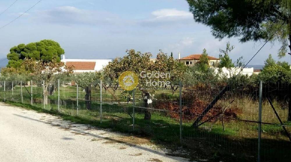 Κυρίως Χώρος