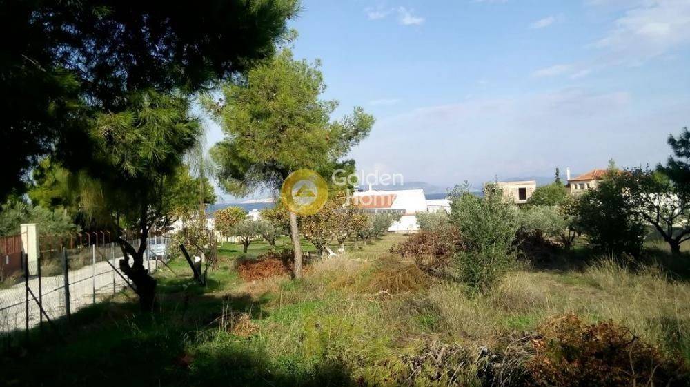 Κυρίως Χώρος