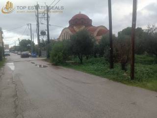 όπου το χορτάρι είναι το γωνιακό - προσόψεως οικόπεδο