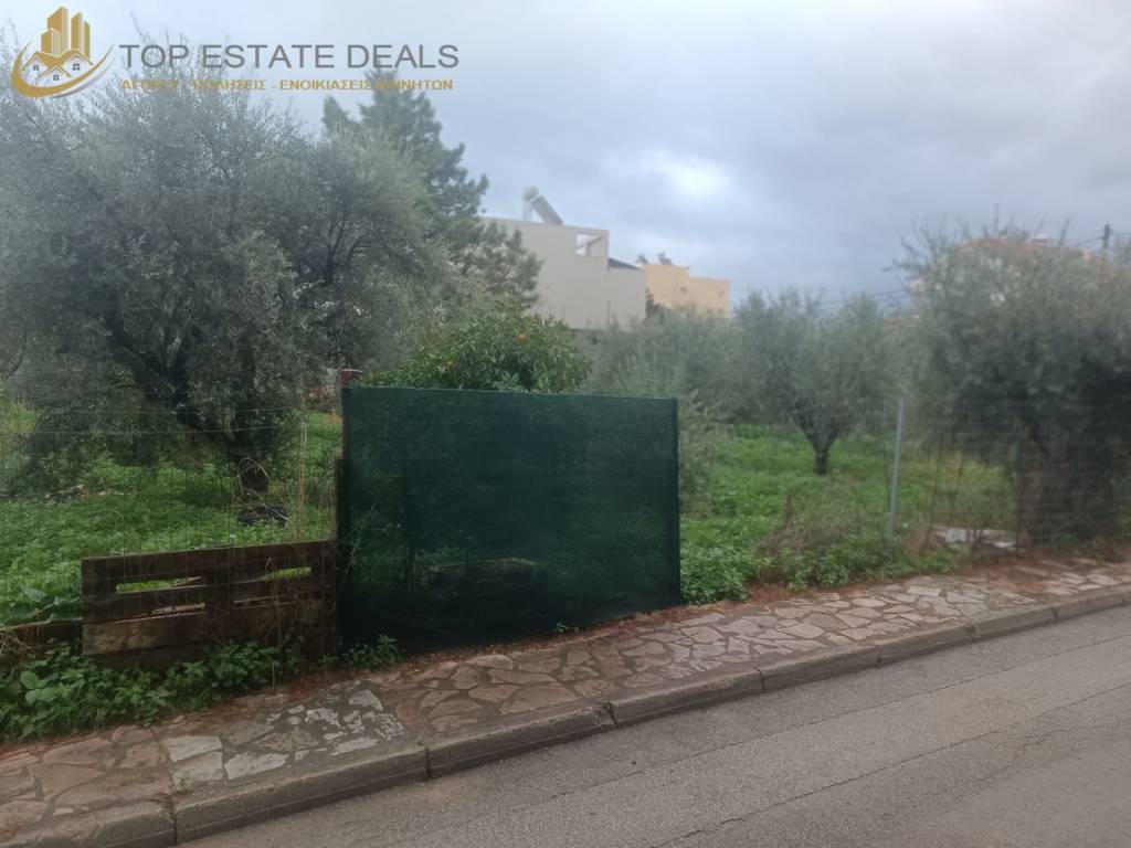 άποψη του οικοπέδου