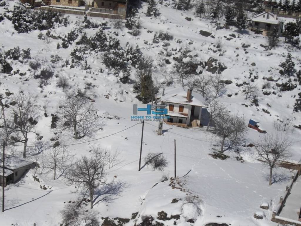 Χιονισμένο