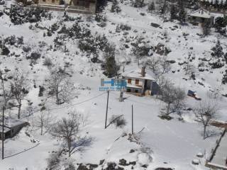 Χιονισμένο