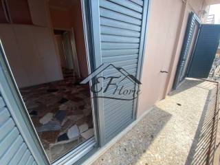 Leptomereies Akinetoy