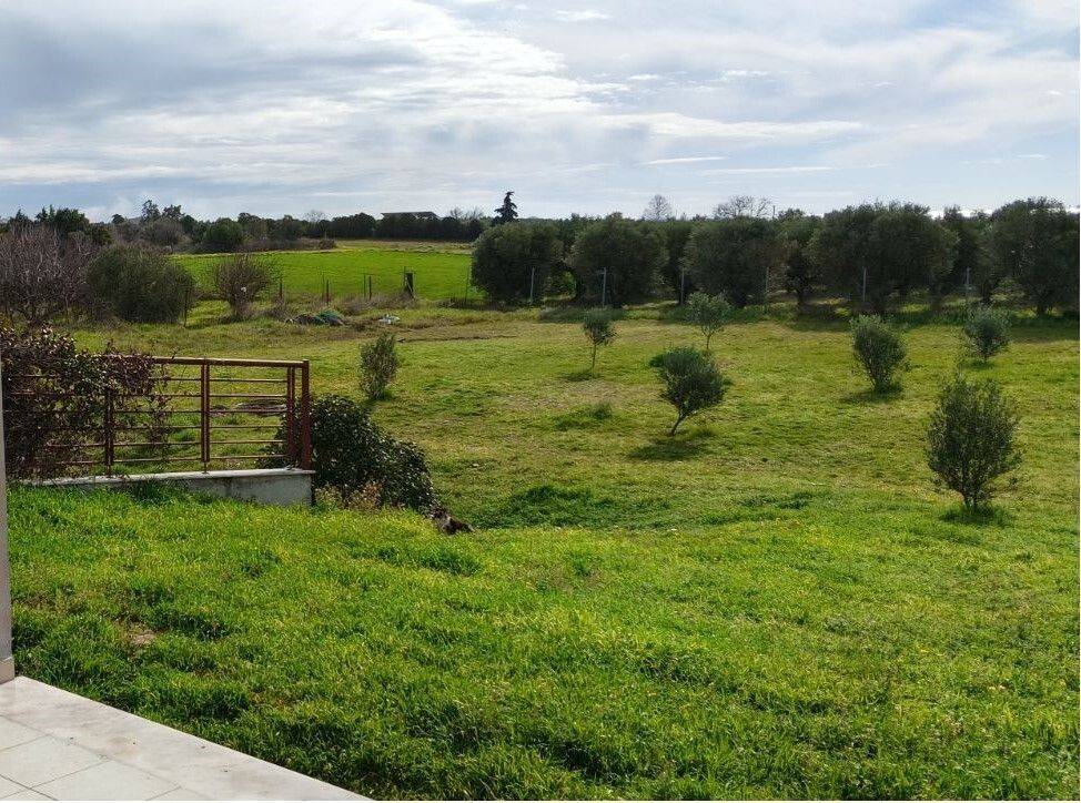 Detached - Grekodom 65612|1051580