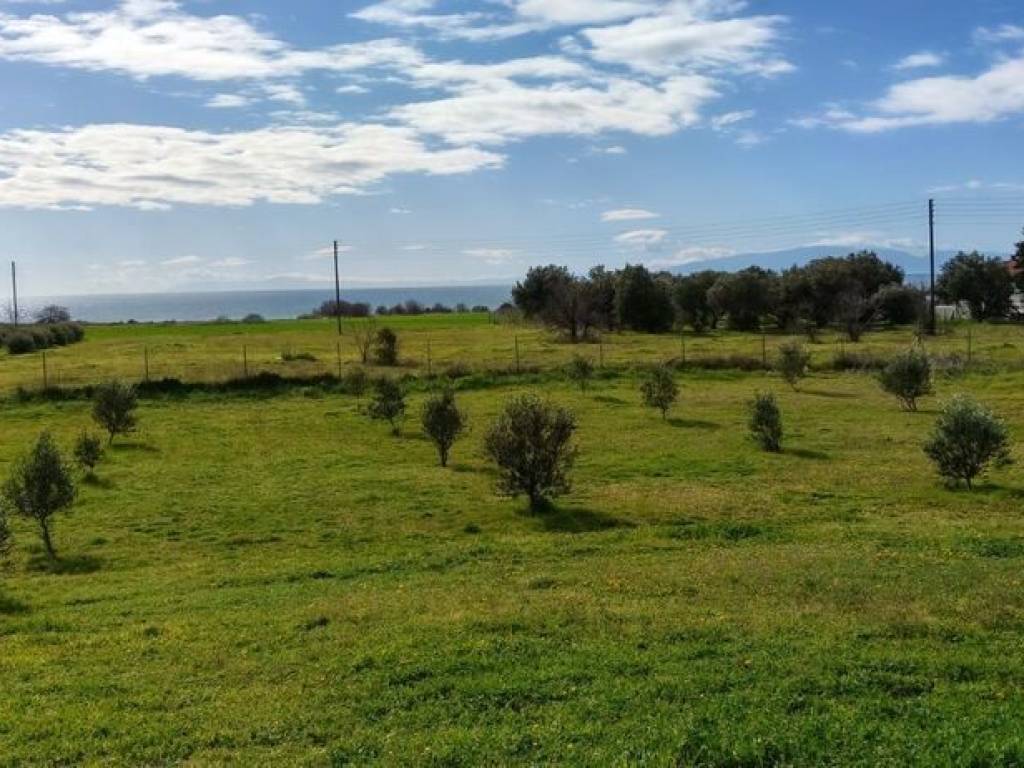 Detached - Grekodom 65612|1051578