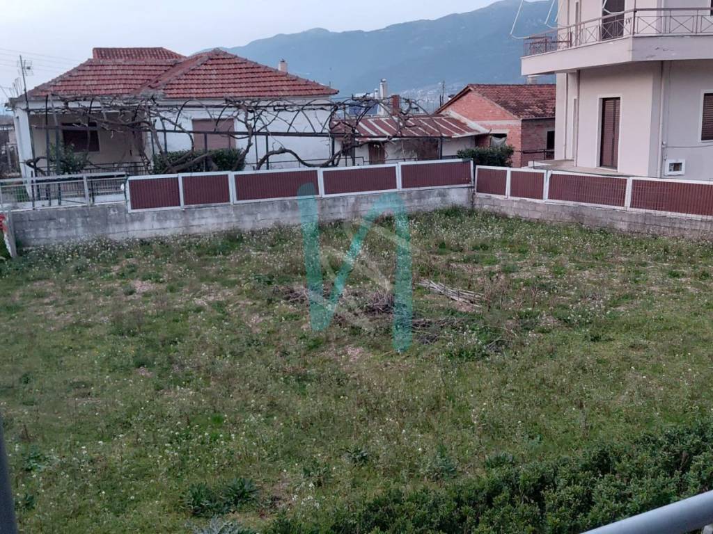 Monokatoikia - kepos