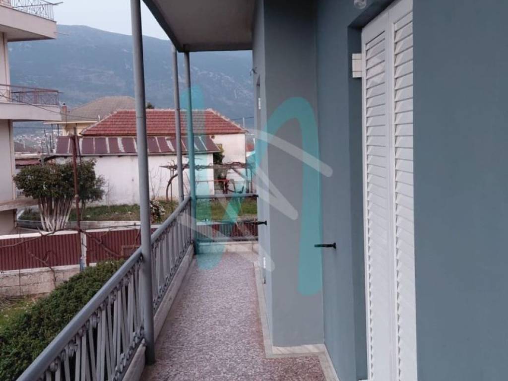 Monokatoikia - beranta