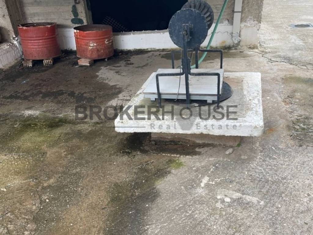 Ύπαρξη ανθρώπου