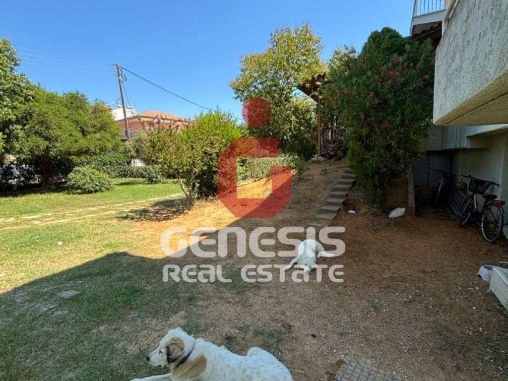 Ύπαρξη ανθρώπου