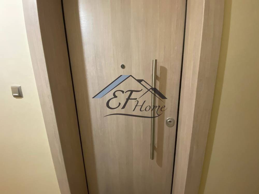 Leptomereies Akinetoy