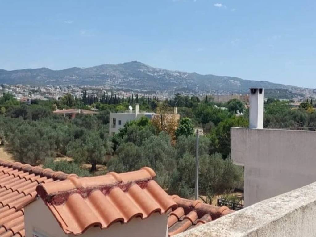 Luxurious built and equipped detached house