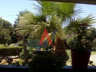 Κήπος - Θερμαϊκός.jpg