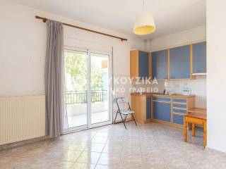 Σαλοκουζίνα