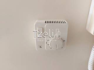 Αυτόνομη θ΄΄ερμανση