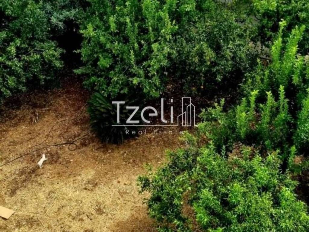 Εξωτερική άποψη χώρου