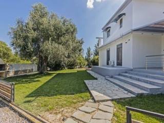 Detached - Grekodom 63017|976911