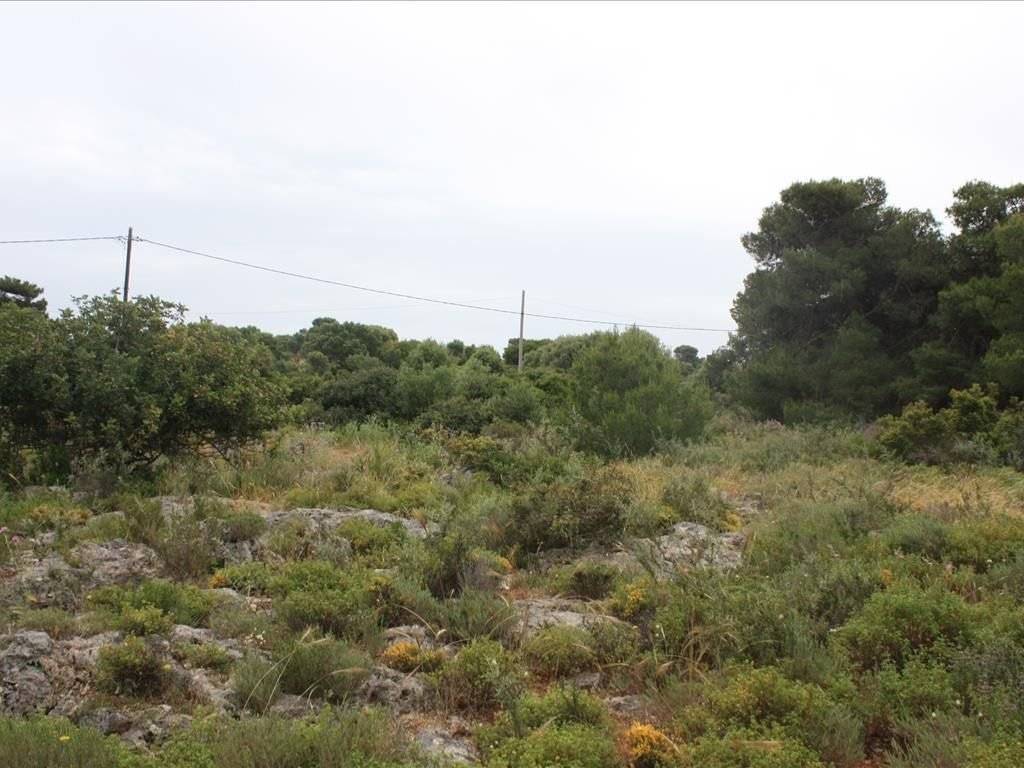 Plot - Grekodom 38127|569653