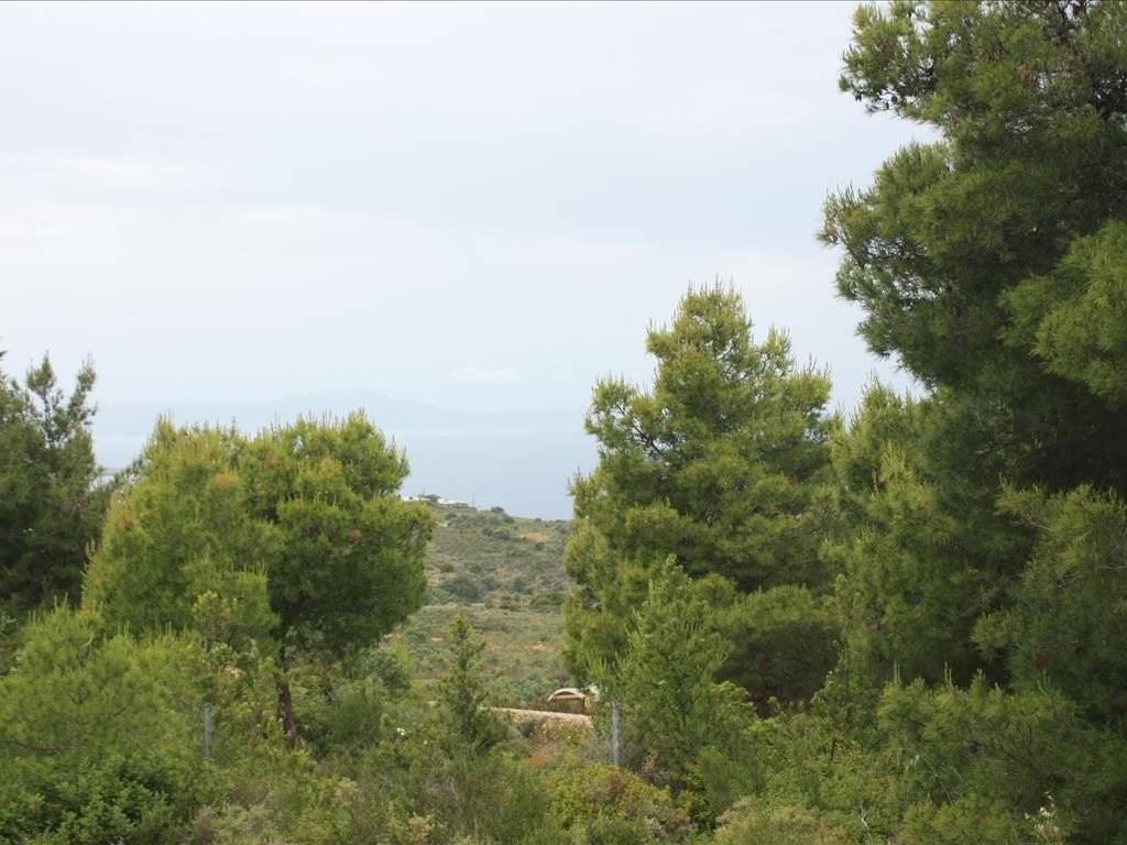 Plot - Grekodom 38127|569655