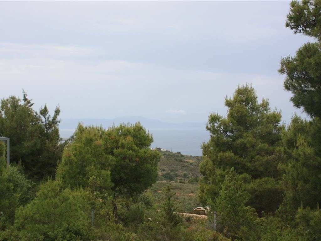 Plot - Grekodom 38127|569660