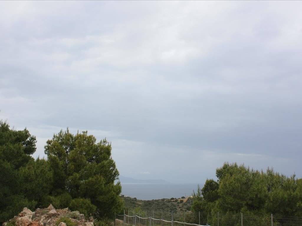 Plot - Grekodom 38127|569675