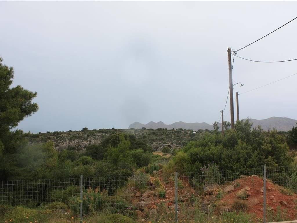 Plot - Grekodom 38127|569677