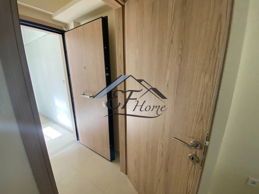 Leptomereies Akinetoy