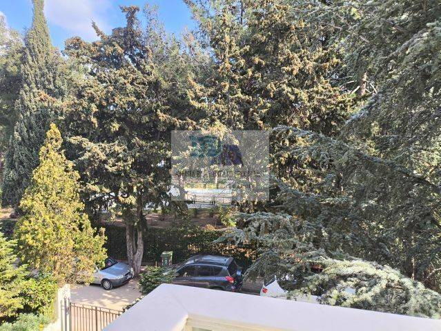 VIEW FROM THE 1st FLOOR