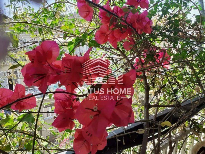 Ύπαρξη ανθρώπου