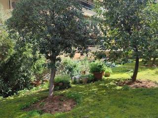 peripoiemenos kepos e exoterike opse /diamerismatos