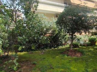 peripoiemenos kepos e exoterike opse /diamerismatos